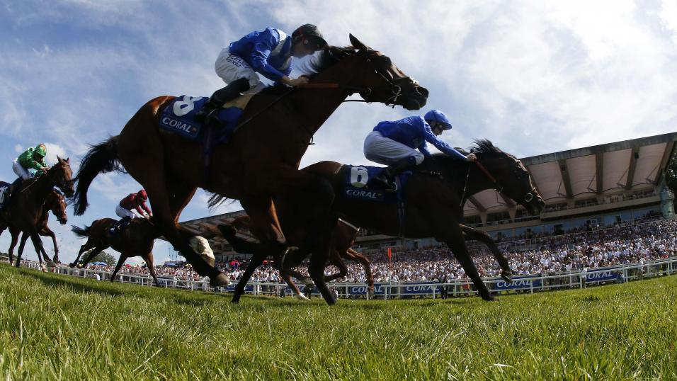 Sandown racecourse